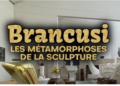 brancusi,-metamorfozele-sculpturii,-un-documentar-cu-o-realizare-deosebita-–-gazeta-de-sud