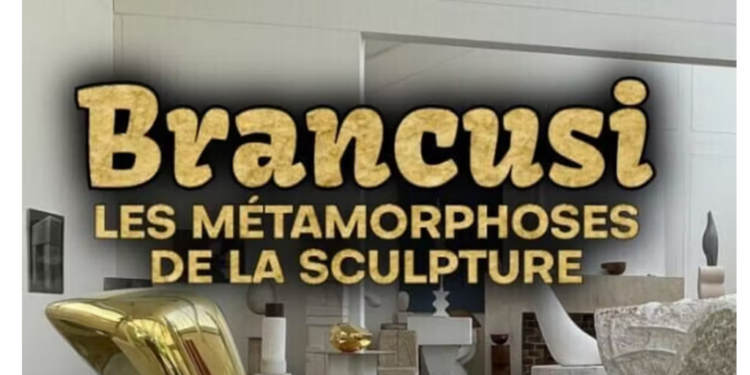 brancusi,-metamorfozele-sculpturii,-un-documentar-cu-o-realizare-deosebita-–-gazeta-de-sud