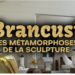 brancusi,-metamorfozele-sculpturii,-un-documentar-cu-o-realizare-deosebita-–-gazeta-de-sud