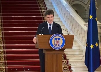 vicepresedinte-pnl:-nicusor-dan-nu-mai-are-legitimitate,-a-devenit-executantul-psd
