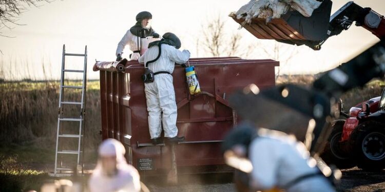 ultimul-continent-pe-care-gripa-aviara-h5n1-nu-a-ajuns-a-depistat-primul-caz-suspect-–-hotnews.ro