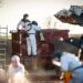 ultimul-continent-pe-care-gripa-aviara-h5n1-nu-a-ajuns-a-depistat-primul-caz-suspect-–-hotnews.ro