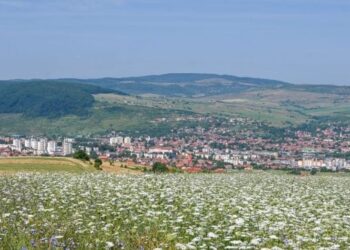 judetul-harghita-devine-regiune-gastronomica-a-europei-in-2027.-traseele-culinare-s-au-deschis-deja-pentru-turisti