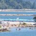 plaja-din-ofitserski-din-varna,-preferata-de-romani,-inchisa-de-urgenta-dupa-o-descoperire-periculoasa