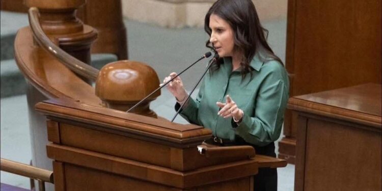 senator-pnl:-exista-doua-variante-de-guvern-minoritar-–-condus-de-psd-sau-din-pnl,-usr-si-udmr