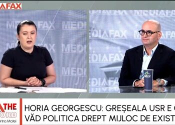 greseala-usr-este-ca-vede-politica-drept-un-mijloc-de-existenta,-spune-fostul-presedinte-ani