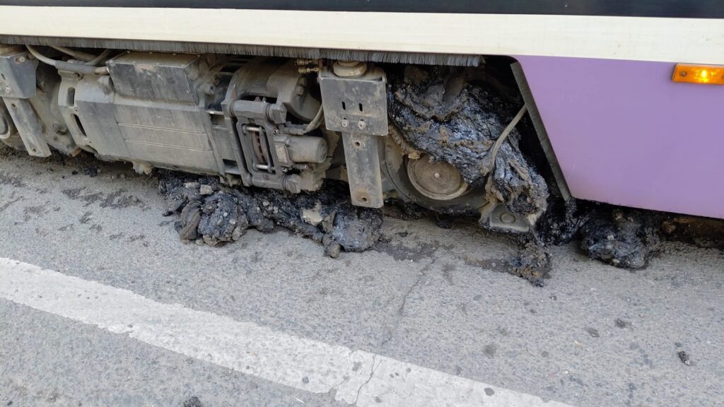 canicula-a-afectat-transportul-public-din-timisoara-restrictii-in-circulatia-tramvaielor-–-hotnews.ro