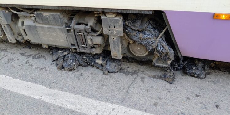 canicula-a-afectat-transportul-public-din-timisoara-restrictii-in-circulatia-tramvaielor-–-hotnews.ro