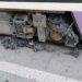 canicula-a-afectat-transportul-public-din-timisoara-restrictii-in-circulatia-tramvaielor-–-hotnews.ro