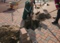 primaria-lui-negoita-da-inca-80-de-milioane-de-lei-pentru-pavele,-borduri-si-garduri-asta-ne-cer-cetatenii,-spune-viceprimarul-–-hotnews.ro