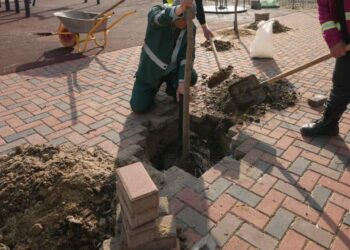 primaria-lui-negoita-da-inca-80-de-milioane-de-lei-pentru-pavele,-borduri-si-garduri-asta-ne-cer-cetatenii,-spune-viceprimarul-–-hotnews.ro