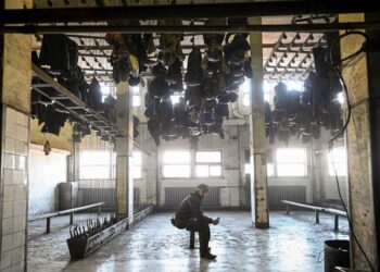harta-centrele-industriale-au-pierdut-sute-de-mii-de-muncitori-judetele-care-au-platit-cel-mai-mult-tranzitia-economiei-romaniei-–-hotnews.ro