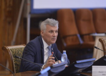 liderul-senatorilor-psd,-atac-la-adresa-dianei-buzoianu:-pesta-neomarxista-a-ajuns-pe-litoral.-s-a-pus-pe-demolat-terase