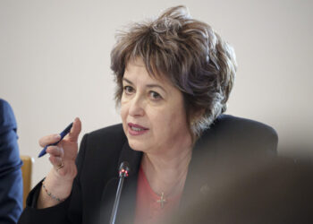niculina-stelea-(aur):-in-contextul-dezastrului-de-la-ancpi,-parlamentul-sa-prelungeasca-urgent-regimul-tranzitoriu-privind-cota-redusa-de-tva