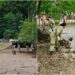 dn1-este-blocat-in-zona-comarnic-din-cauza-inundatiilor.-autoritatile-intervin-de-urgenta