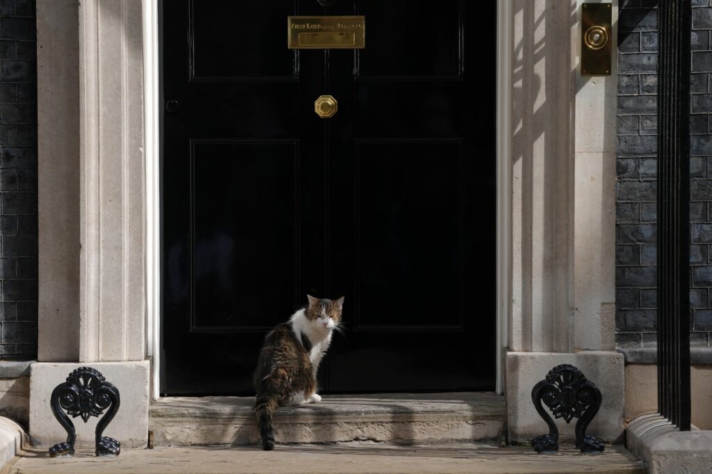 mesajul-aparut-pe-contul-motanului-larry-instructiunile-clare-transmise-noului-premier-britanic-–-hotnews.ro