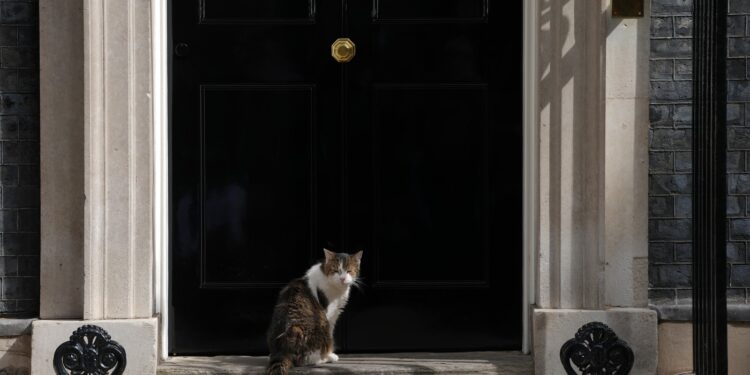 mesajul-aparut-pe-contul-motanului-larry-instructiunile-clare-transmise-noului-premier-britanic-–-hotnews.ro
