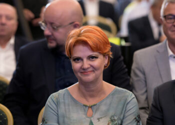 putem-forma-o-majoritate-cea-mai-buna-varianta,-un-guvern-minoritar-psd.-solutia-propusa-de-olguta-vasilescu-pentru-criza-politica