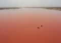 unul-dintre-faimoasele-lacuri-roz-ale-africii-si-a-recapatat-culoarea-dupa-dezastrul-care-a-distrus-turismul-–-hotnews.ro