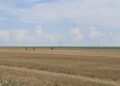 mapn:-resturi-de-drona-si-de-racheta-interceptoare,-descoperite-in-buzau-si-braila