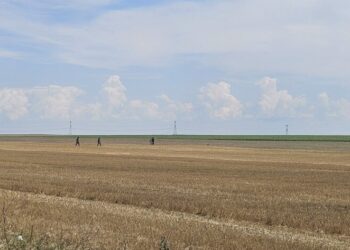 mapn:-resturi-de-drona-si-de-racheta-interceptoare,-descoperite-in-buzau-si-braila