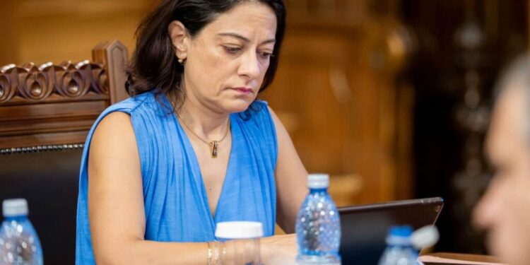 scandal-in-„grupul-de-reflectie-strategica”-de-la-cotroceni.-oana-zamfir-se-retrage-si-lanseaza-acuzatii-dure