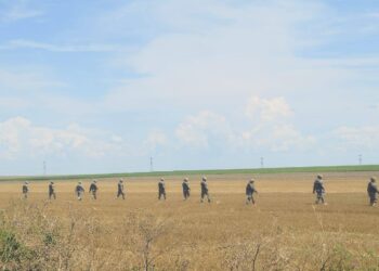 drona-doborata-la-buzau:-procurorii-au-terminat-cercetarile-la-sol-si-au-deschis-dosar-penal-–-hotnews.ro