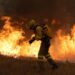 te-devoreaza-daca-nu-fugi-incendii-istorice-in-franta-si-spania,-cu-peste-220000-de-evacuati-din-cauza-focului-xxl-–-hotnews.ro