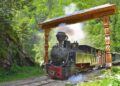 maramuresul,-regele-turismului-traditional-in-2026:-peste-20.000-de-turisti-romani-si-straini-aleg-pensiunile-rurale