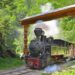maramuresul,-regele-turismului-traditional-in-2026:-peste-20.000-de-turisti-romani-si-straini-aleg-pensiunile-rurale
