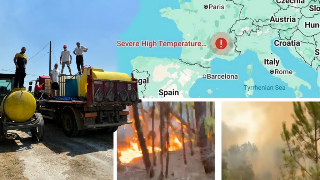 dupa-dezvaluirile-gandul,-ambasada-romaniei-in-franta-sare-in-ajutorul-romanilor-captivi-in-incendii,-care-o-acuza-pe-oana-toiu-de-nepasare:-minte-cu-nerusinare