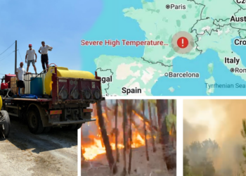 dupa-dezvaluirile-gandul,-ambasada-romaniei-in-franta-sare-in-ajutorul-romanilor-captivi-in-incendii,-care-o-acuza-pe-oana-toiu-de-nepasare:-minte-cu-nerusinare
