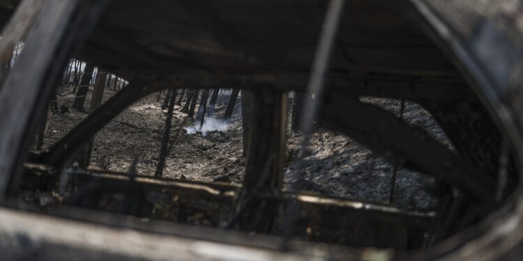 incendii-forestiere-fac-ravagii-in-portugalia-tara-activeaza-mecanismul-european-de-protectie-civila-–-hotnews.ro