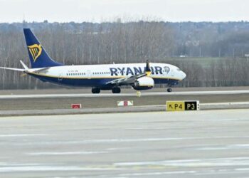 cabina-era-infestata.-un-roi-de-tantari-a-dat-peste-cap-un-zbor-ryanair-de-la-milano-spre-alicante,-spania