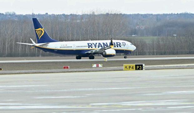 cabina-era-infestata.-un-roi-de-tantari-a-dat-peste-cap-un-zbor-ryanair-de-la-milano-spre-alicante,-spania