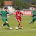 fc-botosani-a-tinut-o-in-sah-pe-ludogorets!