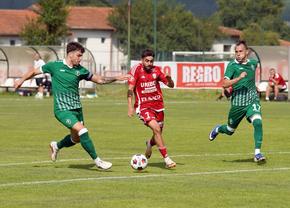 fc-botosani-a-tinut-o-in-sah-pe-ludogorets!