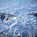 netanyahu,-nemultumit-dupa-anuntul-lui-trump-legat-de-vanzarea-avioanelor-de-lupta-f-35-catre-turcia:-ar-distruge-echilibrul-de-putere-–-hotnews.ro