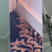 ce-a-gasit-un-cuplu-intr-un-hotel-de-3-stele-din-eforie-nord,-la-350-de-lei-pe-noapte:-mucegai,-instalatii-sanitare-stricate,-pereti-murdari-si-praf-revoltati,-oamenii-au-filmat-totul.-ce-s-a-intamplat-dupa-ce-au-primit-alta-camera