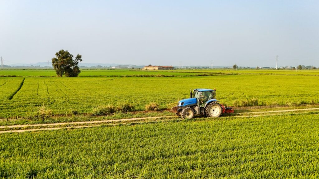 conditiile-in-care-fermierii-pot-pierde-subventiile-apia-in-2026.-ce-se-intampla-cu-dosarele-din-agricultura