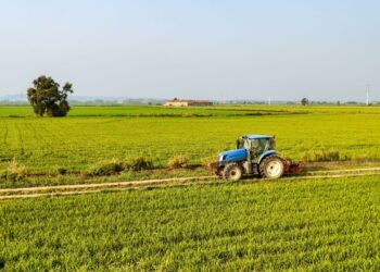 conditiile-in-care-fermierii-pot-pierde-subventiile-apia-in-2026.-ce-se-intampla-cu-dosarele-din-agricultura