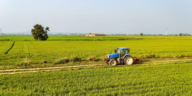 conditiile-in-care-fermierii-pot-pierde-subventiile-apia-in-2026.-ce-se-intampla-cu-dosarele-din-agricultura