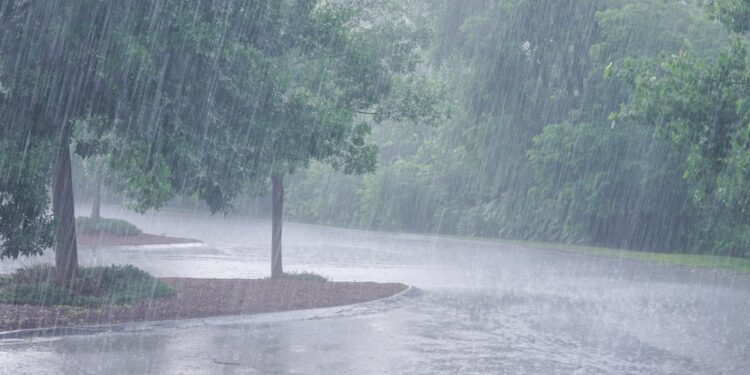 alerta-meteo-imediata-de-la-anm:-ploi-torentiale,-vijelii-puternice-si-grindina-–-hotnews.ro