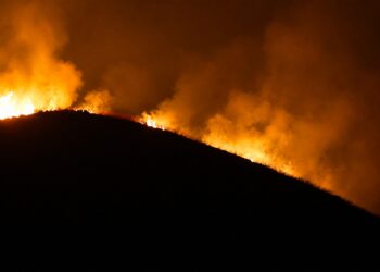 video-incendii-masive-in-italia-un-aeroport-important-din-sardinia-a-fost-inchis-mai-multe-sosele,-blocate-de-flacari-–-hotnews.ro
