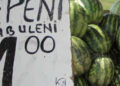 cat-de-romanesti-sunt,-de-fapt,-pepenii-de-dabuleni?-din-ce-tara-isi-iau-semintele-taranii