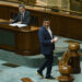 solutia-lui-george-simion-pentru-deblocarea-crizei-politice:-presedintele-senatului-trebuie-sa-fie-dat-de-aur