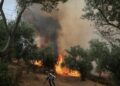infern-in-grecia:-trei-pompieri-au-murit-in-incendii.-avertismentul-mae-pentru-romani