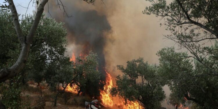 infern-in-grecia:-trei-pompieri-au-murit-in-incendii.-avertismentul-mae-pentru-romani