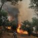 infern-in-grecia:-trei-pompieri-au-murit-in-incendii.-avertismentul-mae-pentru-romani