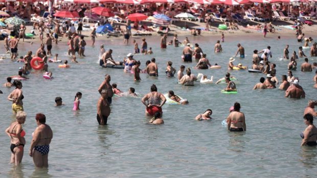 inspectorii-ansvsa-au-dat-amenzi-de-280.000-de-lei-si-au-inchis-doua-restaurante-de-pe-litoral-in-doar-o-saptamana